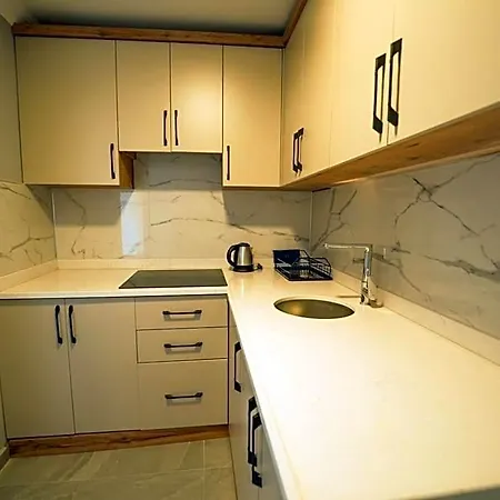 Han Apart Hotel Side شقة فندقية 4*